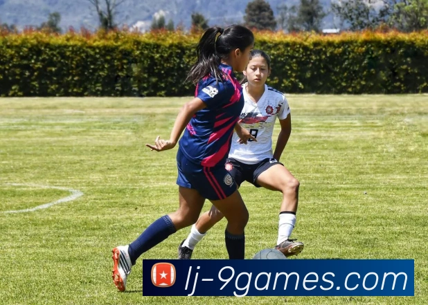 九游娱乐官网全站App